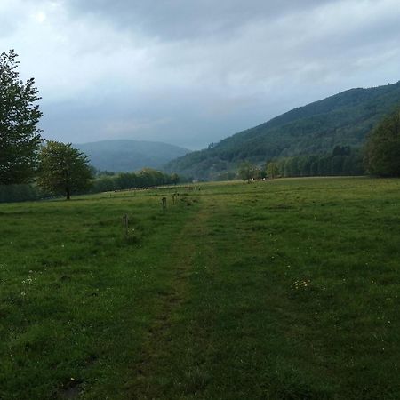 Domek W Gorach Sowich Pieszyce Zewnętrze zdjęcie