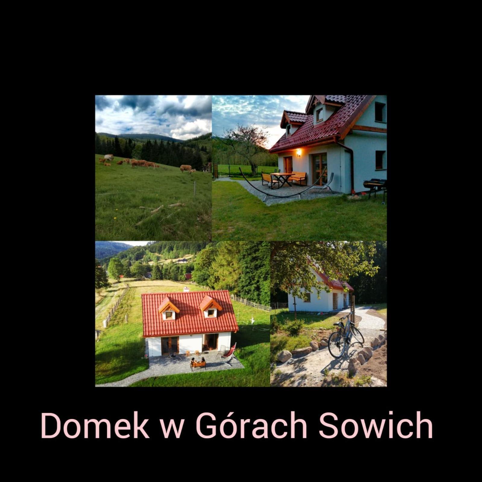 Domek W Gorach Sowich Pieszyce Zewnętrze zdjęcie